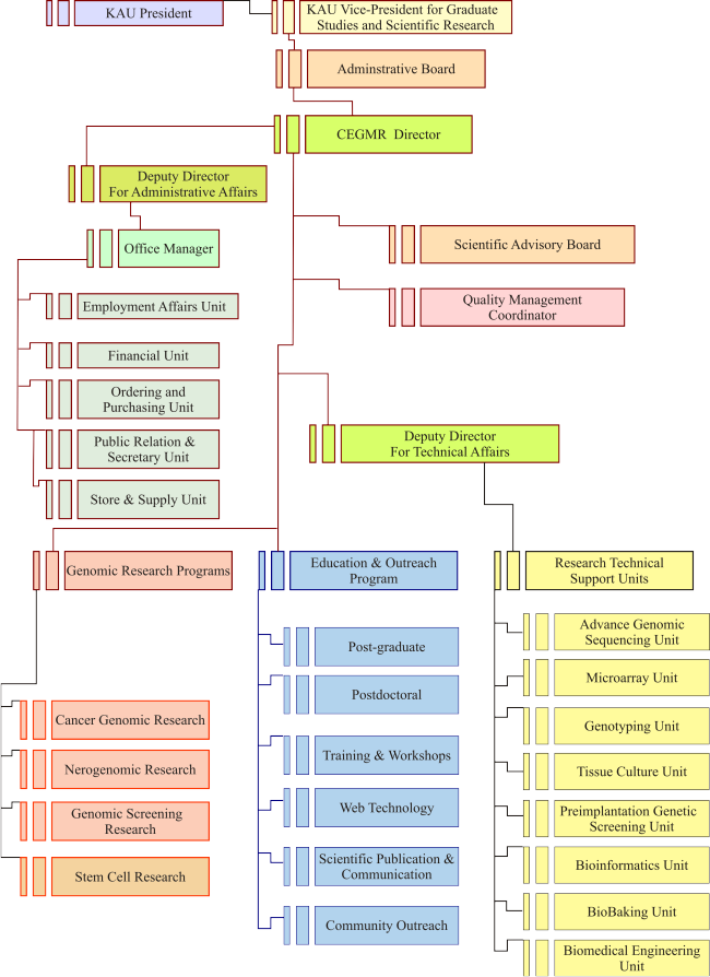 Pros And Cons Of Stem Cell Research Chart